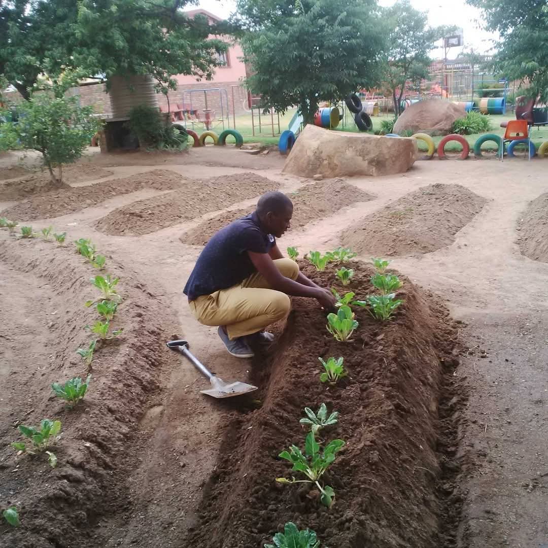 garden